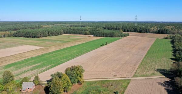 Działka 34600 m2 w łomżyński
