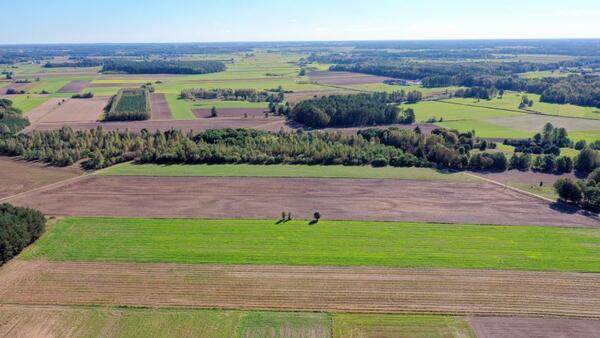 Działka 34600 m2 w łomżyński