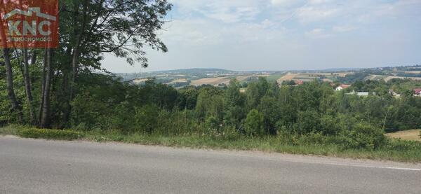 Działka 11400 m2 w bocheński