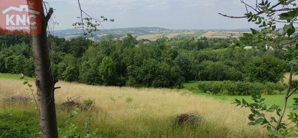 Działka 11400 m2 w bocheński