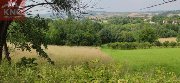 Działka 11400 m2 w bocheński