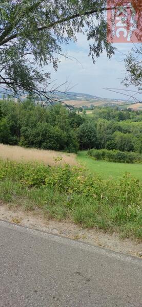 Działka 11400 m2 w bocheński