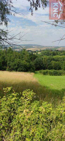 Działka 11400 m2 w bocheński