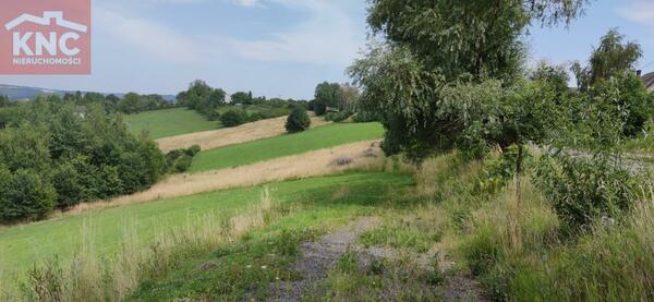 Działka 11400 m2 w bocheński