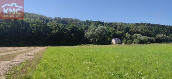 Działka 1600 m2 w nowosądecki