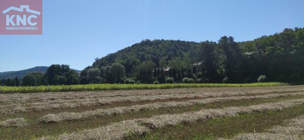 Działka 1600 m2 w nowosądecki