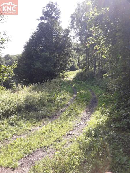 Działka 7400 m2 w tarnowski