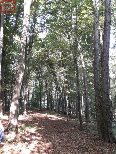 Działka 7400 m2 w tarnowski