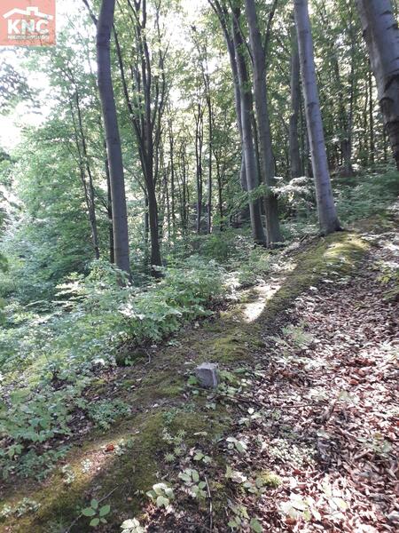 Działka 7400 m2 w tarnowski