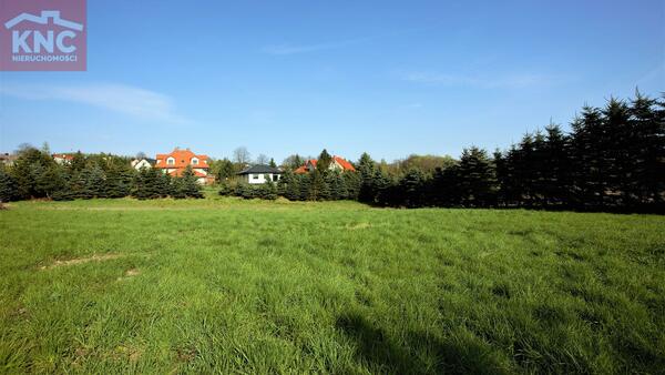 Działka 6300 m2 w tarnowski