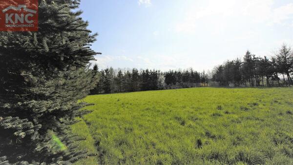 Działka 6300 m2 w tarnowski