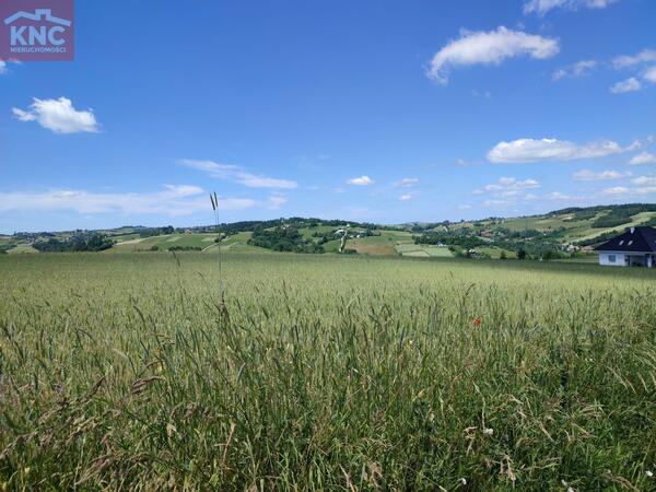 Działka 1018 m2 w nowosądecki