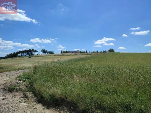 Działka 1018 m2 w nowosądecki