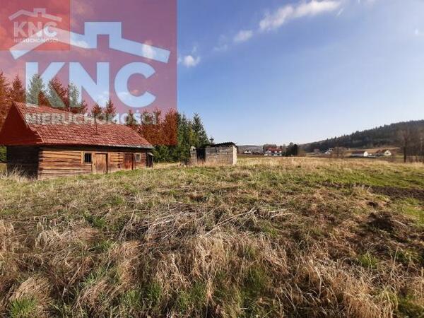 Działka 6000 m2 w tarnowski