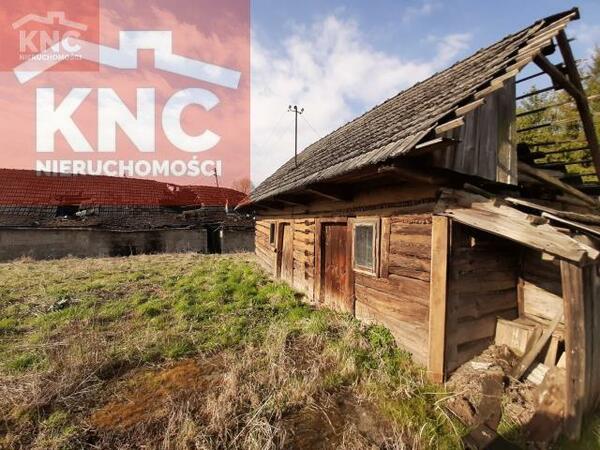 Działka 6000 m2 w tarnowski