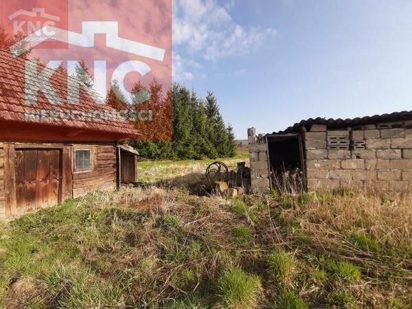 Działka 6000 m2 w tarnowski