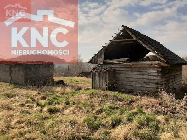 Działka 6000 m2 w tarnowski