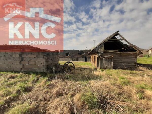 Działka 6000 m2 w tarnowski