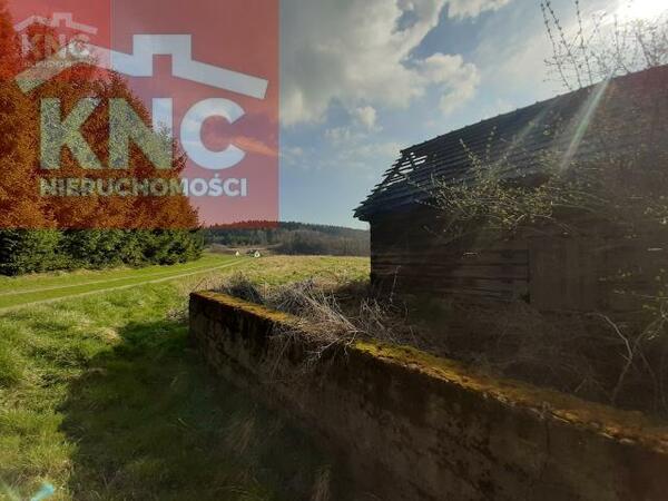 Działka 6000 m2 w tarnowski