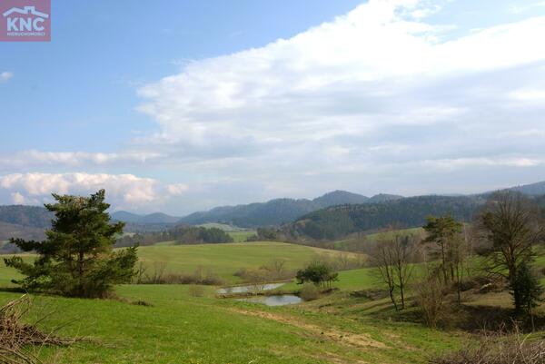 Działka 45815 m2 w leski