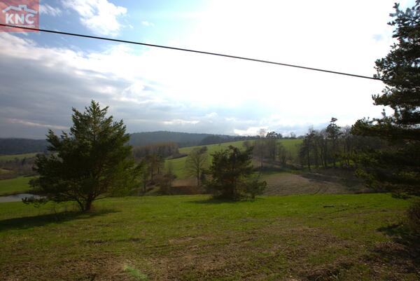 Działka 45815 m2 w leski