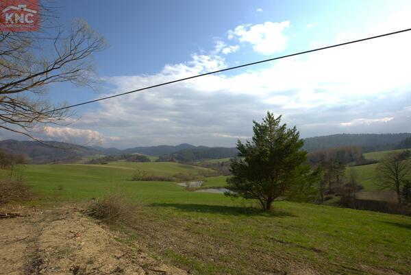 Działka 45815 m2 w leski