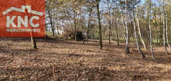 Działka 1100 m2 w tarnowski