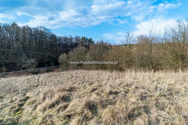 Działka 5800 m2 w Przemyśl