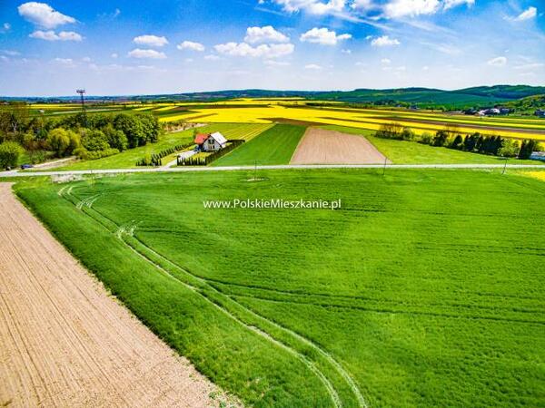 Działka 7341 m2 w przemyski