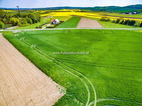 Działka 7341 m2 w przemyski