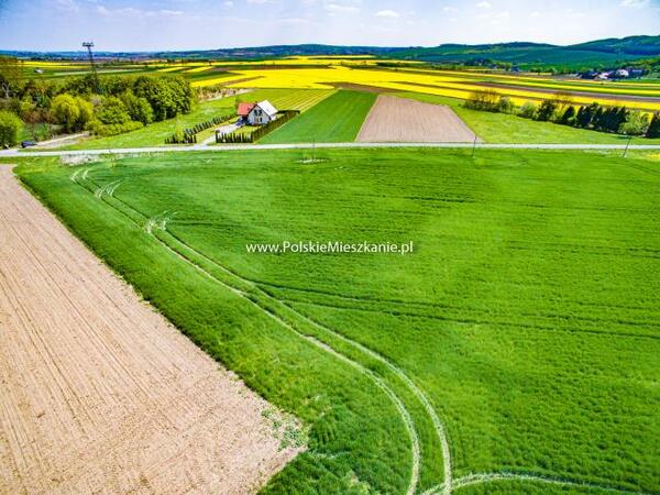 Działka 7341 m2 w przemyski