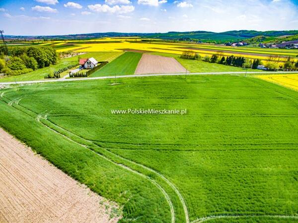 Działka 7341 m2 w przemyski