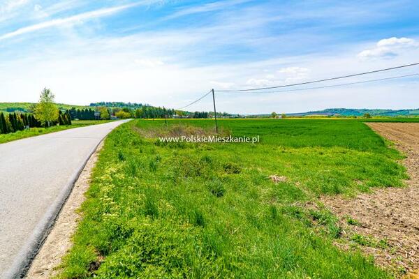 Działka 7341 m2 w przemyski