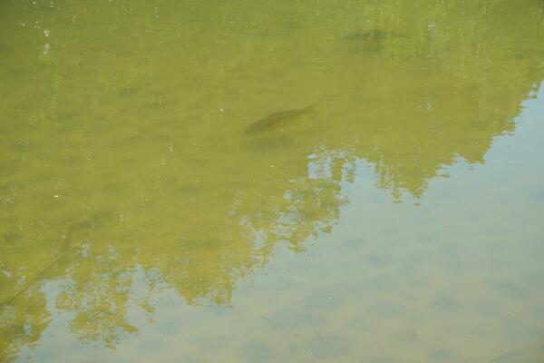 Działka 35221 m2 w Warszawa