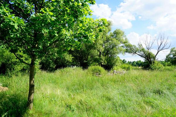 Działka 3800 m2 w grodziski