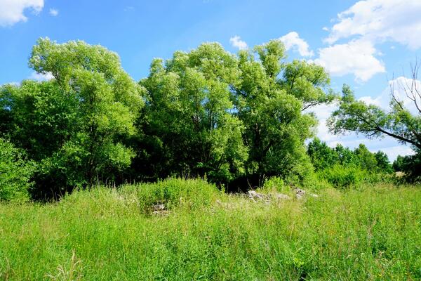 Działka 3800 m2 w grodziski