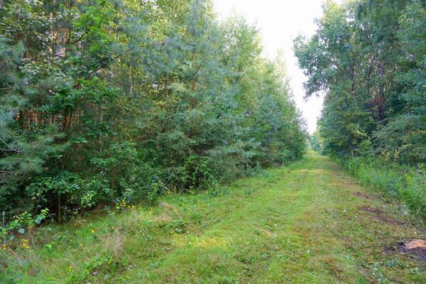 Działka 1055 m2 w grodziski