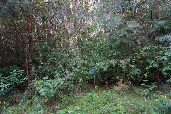 Działka 1055 m2 w grodziski