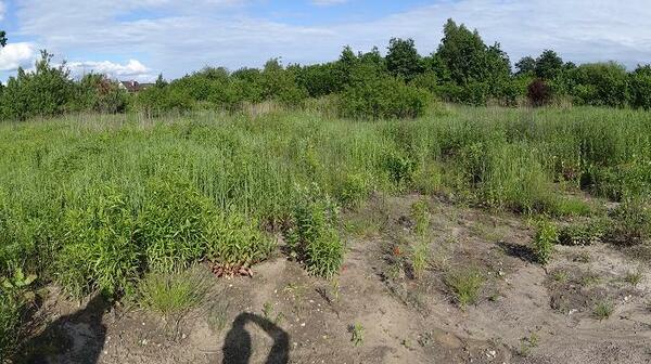 Działka 701 m2 w będziński