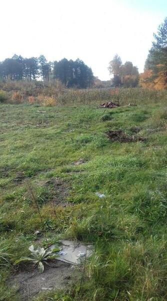 Działka 2877 m2 w Dąbrowa Górnicza