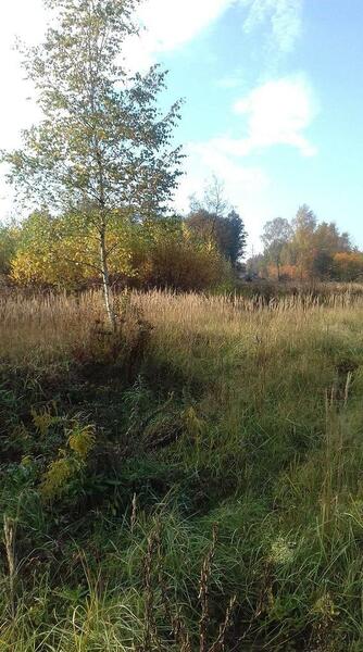 Działka 2877 m2 w Dąbrowa Górnicza