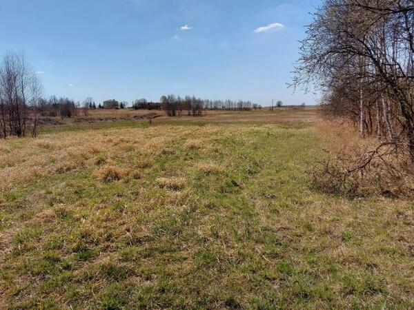 Działka 5289 m2 w Dąbrowa Górnicza