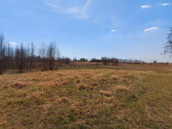 Działka 5289 m2 w Dąbrowa Górnicza