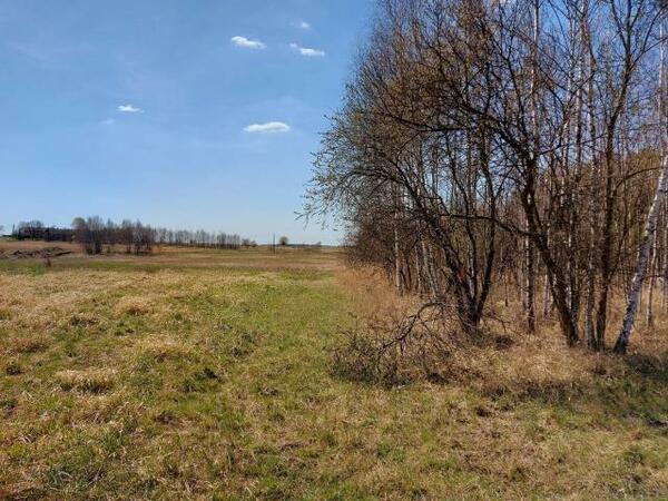 Działka 5289 m2 w Dąbrowa Górnicza