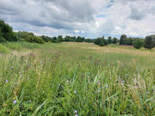 Działka 9800 m2 w będziński