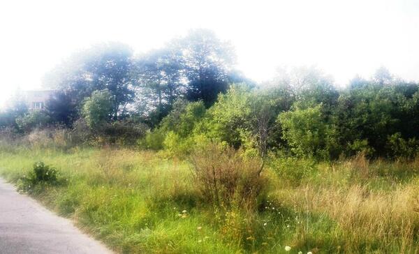 Działka 2847 m2 w będziński