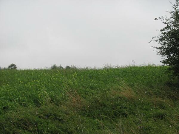 Działka 1369 m2 w będziński