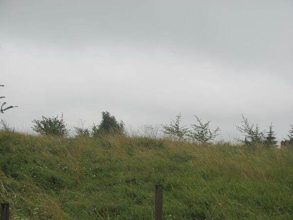 Działka 1369 m2 w będziński