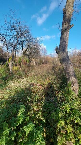 Działka 1183 m2 w będziński