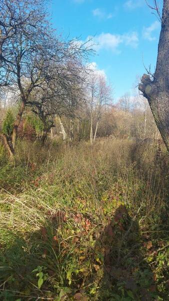 Działka 1183 m2 w będziński